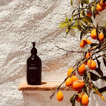 Villa Romeo And Julio Summer House